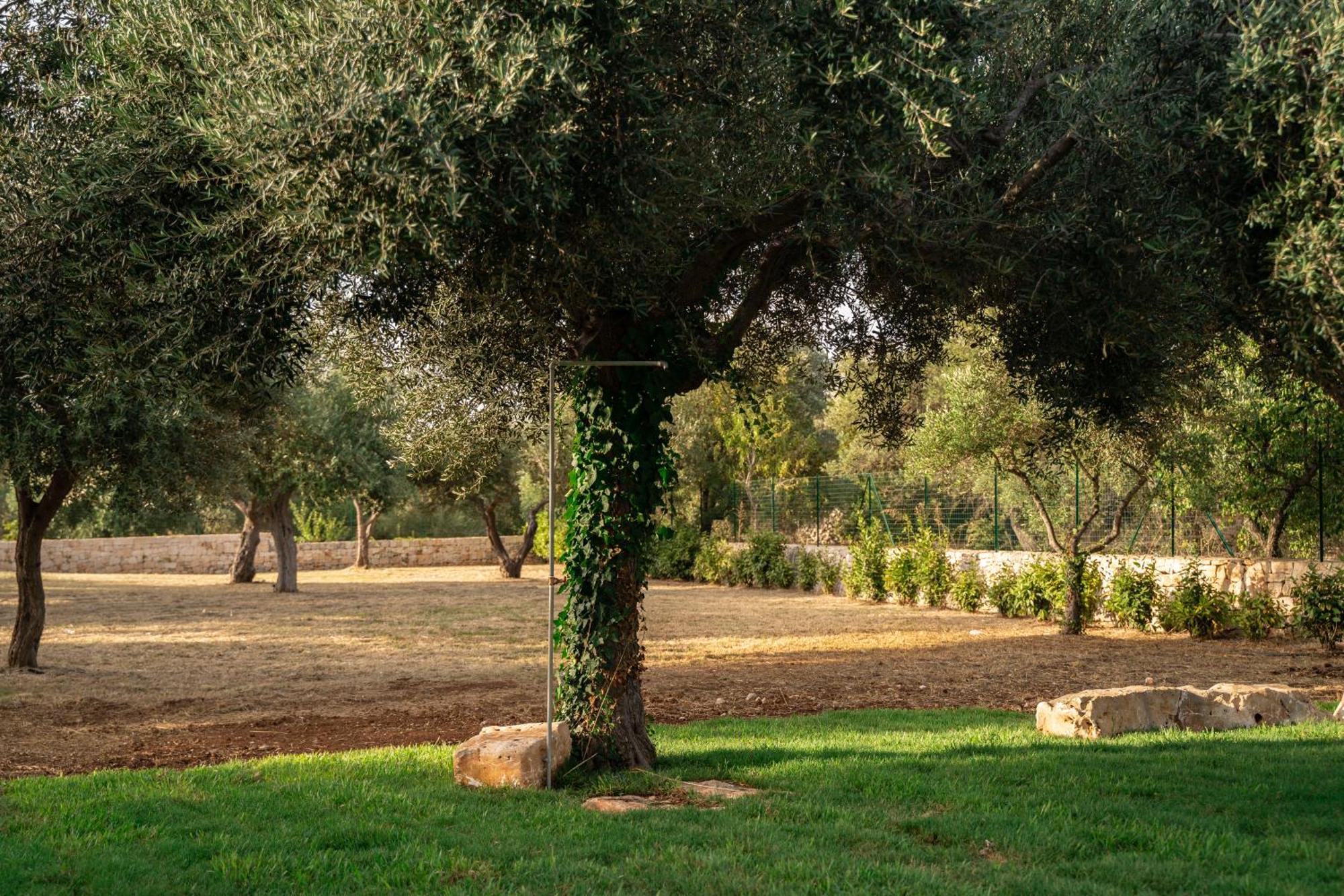 L'Eremo Di Tonio Βίλα Monopoli Εξωτερικό φωτογραφία